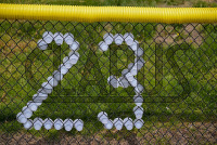 DSC_7254_Dan_saunders.jpg 04/27/2024 - New Haven Women's Lacrosse Senior Day 