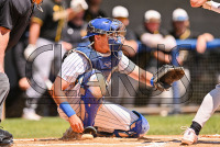 UNHBaseball-SeniorDay_20240504_CM0_3082.jpg 05/04/2024 - New Haven Baseball Senior Day AIC,Clarus Multimedia Group,DII,NCAA Chargers,NE10,New England,New Haven,New Haven Chargers,Northeast10,Senior Day,UNH,University of New Haven,Yellow Jackets,baseball,www.clarusmultimedia.com,