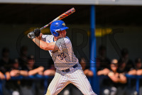 UNHBaseball_vs_Adelphi_20240507_CM0_6455.jpg 05/07/2024 - New Haven Baseball vs Adelphi - NE10 First Round 