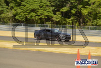 PM_NJMP_061924_129.jpg 06/19/2024 - TNiA New Jersey Motorsports Park 