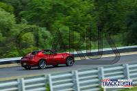 DJ7A3645.jpg 06/18/2024 - TNiA Lime Rock Park 