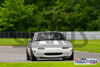 LRP_TNiA_20240808_CM0_0020.jpg 08/08/2024 - TNiA Lime Rock Park Clarus Multimedia,Clarus Studios,Lime Rock Park,New England,SCCA,SCCATrackNight,TNiA,Tire Rack,Track Night in America,USA,www.clarusmultimedia.com,www.clarusstudios.com,