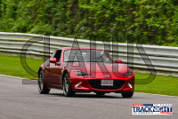 LRP_TNiA_20240808_CM0_6347.jpg 08/08/2024 - TNiA Lime Rock Park Clarus Multimedia,Clarus Studios,Lime Rock Park,New England,SCCA,SCCATrackNight,TNiA,Tire Rack,Track Night in America,USA,www.clarusmultimedia.com,www.clarusstudios.com,