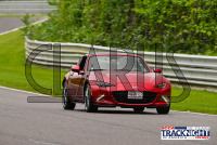 LRP_TNiA_20240808_CM0_6424.jpg 08/08/2024 - TNiA Lime Rock Park Clarus Multimedia,Clarus Studios,Lime Rock Park,New England,SCCA,SCCATrackNight,TNiA,Tire Rack,Track Night in America,USA,www.clarusmultimedia.com,www.clarusstudios.com,