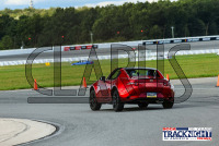 dja__64.jpg 08/20/2024 - TNiA Pocono Raceway 