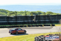 CM9_6438.JPG_TNiA_Palmer_20240905.jpg 09/05/2024 - TNiA Palmer Motorsports Park Clarus Multimedia Group,Clarus Studios,Connecticut,New England,SCCA,SCCATrackNight,TNiA,Thompson,Tire Rack,Track Night in America,USA,www.clarusmultimedia.com,www.clarusstudios.com,