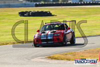 TNiA_TSMP_20240910_CM9_0063.jpg 09/10/2024 - TNiA Thompson Speedway 1.7 Mile Road Course,Clarus Multimedia Group,Clarus Studios,New England,SCCA,SCCATrackNight,TNiA,Thompson Speedway Motorsports Park,Tire Rack,Track Night in America,USA,www.clarusmultimedia.com,www.clarusstudios.com,