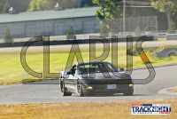 TNiA_TSMP_20240910_CM9_0148.jpg 09/10/2024 - TNiA Thompson Speedway 1.7 Mile Road Course,Clarus Multimedia Group,Clarus Studios,New England,SCCA,SCCATrackNight,TNiA,Thompson Speedway Motorsports Park,Tire Rack,Track Night in America,USA,www.clarusmultimedia.com,www.clarusstudios.com,