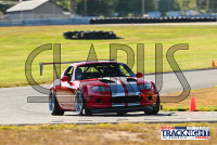TNiA_TSMP_20240910_CM9_0066.jpg 09/10/2024 - TNiA Thompson Speedway 1.7 Mile Road Course,Clarus Multimedia Group,Clarus Studios,New England,SCCA,SCCATrackNight,TNiA,Thompson Speedway Motorsports Park,Tire Rack,Track Night in America,USA,www.clarusmultimedia.com,www.clarusstudios.com,