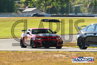 TNiA_TSMP_20240910_CM9_0055.jpg 09/10/2024 - TNiA Thompson Speedway 1.7 Mile Road Course,Clarus Multimedia Group,Clarus Studios,New England,SCCA,SCCATrackNight,TNiA,Thompson Speedway Motorsports Park,Tire Rack,Track Night in America,USA,www.clarusmultimedia.com,www.clarusstudios.com,