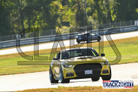 TNiA_TSMP_20240910_CM9_0510.jpg 09/10/2024 - TNiA Thompson Speedway 1.7 Mile Road Course,Clarus Multimedia Group,Clarus Studios,New England,SCCA,SCCATrackNight,TNiA,Thompson Speedway Motorsports Park,Tire Rack,Track Night in America,USA,www.clarusmultimedia.com,www.clarusstudios.com,