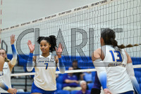 UNHVBall_vs_Bridgeport_20240917_CM0_0110.jpg 09/17/2024 - New Haven Volleyball vs Bridgeport Charge On,Chargers,Clarus Multimedia,Clarus Studios,D2,DII,Get Charged Up,NCAA,NE10,NO LIGHTS,New England,New Haven,New Haven Chargers,Northeast 10,Pennman,SNHU,