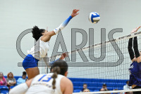 UNHVBall_vs_Bridgeport_20240917_CM0_0074.jpg 09/17/2024 - New Haven Volleyball vs Bridgeport Charge On,Chargers,Clarus Multimedia,Clarus Studios,D2,DII,Get Charged Up,NCAA,NE10,NO LIGHTS,New England,New Haven,New Haven Chargers,Northeast 10,Pennman,SNHU,