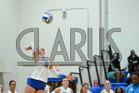UNHVBall_vs_Bridgeport_20240917_CM0_0104.jpg 09/17/2024 - New Haven Volleyball vs Bridgeport Charge On,Chargers,Clarus Multimedia,Clarus Studios,D2,DII,Get Charged Up,NCAA,NE10,NO LIGHTS,New England,New Haven,New Haven Chargers,Northeast 10,Pennman,SNHU,