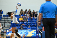 UNHVBall_vs_Bridgeport_20240917_CM0_0122.jpg 09/17/2024 - New Haven Volleyball vs Bridgeport Charge On,Chargers,Clarus Multimedia,Clarus Studios,D2,DII,Get Charged Up,NCAA,NE10,NO LIGHTS,New England,New Haven,New Haven Chargers,Northeast 10,Pennman,SNHU,