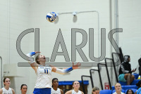 UNHVBall_vs_Bridgeport_20240917_CM0_0103.jpg 09/17/2024 - New Haven Volleyball vs Bridgeport Charge On,Chargers,Clarus Multimedia,Clarus Studios,D2,DII,Get Charged Up,NCAA,NE10,NO LIGHTS,New England,New Haven,New Haven Chargers,Northeast 10,Pennman,SNHU,