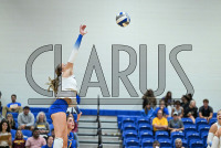 UNHVBall_vs_Bridgeport_20240917_CM0_0009.jpg 09/17/2024 - New Haven Volleyball vs Bridgeport Charge On,Chargers,Clarus Multimedia,Clarus Studios,D2,DII,Get Charged Up,NCAA,NE10,NO LIGHTS,New England,New Haven,New Haven Chargers,Northeast 10,Pennman,SNHU,