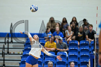 UNHVBall_vs_Bridgeport_20240917_CM0_0164.jpg 09/17/2024 - New Haven Volleyball vs Bridgeport Charge On,Chargers,Clarus Multimedia,Clarus Studios,D2,DII,Get Charged Up,NCAA,NE10,NO LIGHTS,New England,New Haven,New Haven Chargers,Northeast 10,Pennman,SNHU,