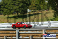 1K6A4496.jpg 09/19/2024 - TNiA Lime Rock Park 