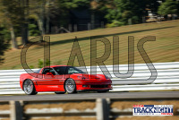 1K6A5028.jpg 09/19/2024 - TNiA Lime Rock Park 
