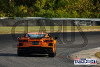 1K6A6022.jpg 09/19/2024 - TNiA Lime Rock Park 