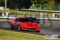 1K6A5807.jpg 09/19/2024 - TNiA Lime Rock Park 