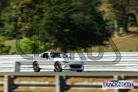 1K6A5005.jpg 09/19/2024 - TNiA Lime Rock Park 