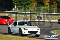 1K6A5823.jpg 09/19/2024 - TNiA Lime Rock Park 
