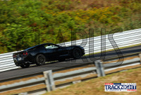 1K6A5220.jpg 09/19/2024 - TNiA Lime Rock Park 