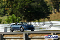 1K6A5076.jpg 09/19/2024 - TNiA Lime Rock Park 