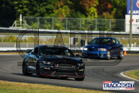 1K6A5636.jpg 09/19/2024 - TNiA Lime Rock Park 