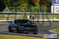 1K6A5623.jpg 09/19/2024 - TNiA Lime Rock Park 