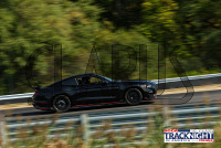 1K6A4983.jpg 09/19/2024 - TNiA Lime Rock Park 