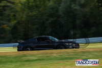 1K6A5572.jpg 09/19/2024 - TNiA Lime Rock Park 