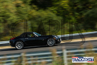 1K6A4974.jpg 09/19/2024 - TNiA Lime Rock Park 