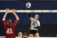 CCVB_vs_Bates_20241011_CM0_0084.jpg 10/11/2024 - Conn College Volleyball Bates College,CC,Camels,Clarus Multimedia Group,Clarus Studios,Conn College,Connecticut,Connecticut College,Connecticut College Camels,DIII,Luce Fieldhouse,NESCAC,New England,New London,