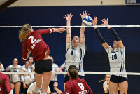 CCVB_vs_Bates_20241011_CM0_0120.jpg 10/11/2024 - Conn College Volleyball Bates College,CC,Camels,Clarus Multimedia Group,Clarus Studios,Conn College,Connecticut,Connecticut College,Connecticut College Camels,DIII,Luce Fieldhouse,NESCAC,New England,New London,