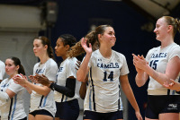 CCVB_vs_Bates_20241011_CM0_0018.jpg 10/11/2024 - Conn College Volleyball Bates College,CC,Camels,Clarus Multimedia Group,Clarus Studios,Conn College,Connecticut,Connecticut College,Connecticut College Camels,DIII,Luce Fieldhouse,NESCAC,New England,New London,