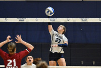 CCVB_vs_Bates_20241011_CM0_0083.jpg 10/11/2024 - Conn College Volleyball Bates College,CC,Camels,Clarus Multimedia Group,Clarus Studios,Conn College,Connecticut,Connecticut College,Connecticut College Camels,DIII,Luce Fieldhouse,NESCAC,New England,New London,