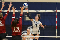 CCVB_vs_Bates_20241011_CM0_0104.jpg 10/11/2024 - Conn College Volleyball Bates College,CC,Camels,Clarus Multimedia Group,Clarus Studios,Conn College,Connecticut,Connecticut College,Connecticut College Camels,DIII,Luce Fieldhouse,NESCAC,New England,New London,