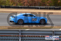 PM_NJMP_101624_119.jpg 10/16/2024 - TNiA New Jersey Motorsports Park 