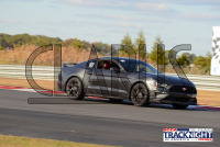 PM_NJMP_101624_556.jpg 10/16/2024 - TNiA New Jersey Motorsports Park 