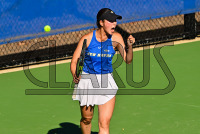 NE10_WTEN_Championship_20241020_CM9_2933.jpg 10/20/2024 - Northeast 10 Women's Tennis Championship - New Haven vs Adelphi Championship,Clarus Multimedia Group,DII,NCAA Chargers,NE10,New England,New Haven,New Haven Chargers,Northeast10,UNH,University of New Haven,Women,tennis,www.clarusmultimedia.com,