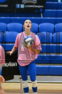 UNHVB_vs_Adelphi_20241029_CM9_2704.jpg 10/29/2024 - New Haven Volleyball vs Adelphi Adelphi,Charge On,Chargers,Clarus Multimedia,Clarus Studios,D2,DII,Get Charged Up,NCAA,NE10,New England,New Haven,New Haven Chargers,Northeast 10,Panthers,
