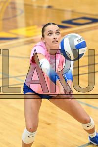 UNHVB_vs_Adelphi_20241029_CM9_2649.jpg 10/29/2024 - New Haven Volleyball vs Adelphi Adelphi,Charge On,Chargers,Clarus Multimedia,Clarus Studios,D2,DII,Get Charged Up,NCAA,NE10,New England,New Haven,New Haven Chargers,Northeast 10,Panthers,
