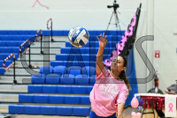 UNHVB_vs_Adelphi_20241029_CM9_2605.jpg 10/29/2024 - New Haven Volleyball vs Adelphi Adelphi,Charge On,Chargers,Clarus Multimedia,Clarus Studios,D2,DII,Get Charged Up,NCAA,NE10,New England,New Haven,New Haven Chargers,Northeast 10,Panthers,