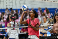 UNHVB_vs_Adelphi_20241029_CM9_2752.jpg 10/29/2024 - New Haven Volleyball vs Adelphi Adelphi,Charge On,Chargers,Clarus Multimedia,Clarus Studios,D2,DII,Get Charged Up,NCAA,NE10,New England,New Haven,New Haven Chargers,Northeast 10,Panthers,