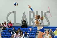 UNHVB_vs_Adelphi_20241029_CM9_5990.jpg 10/29/2024 - New Haven Volleyball vs Adelphi Adelphi,Charge On,Chargers,Clarus Multimedia,Clarus Studios,D2,DII,Get Charged Up,NCAA,NE10,New England,New Haven,New Haven Chargers,Northeast 10,Panthers,