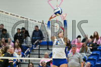UNHVB_vs_Adelphi_20241029_CM9_6055.jpg 10/29/2024 - New Haven Volleyball vs Adelphi Adelphi,Charge On,Chargers,Clarus Multimedia,Clarus Studios,D2,DII,Get Charged Up,NCAA,NE10,New England,New Haven,New Haven Chargers,Northeast 10,Panthers,