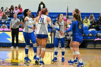 UNHVB_vs_Adelphi_20241029_CM9_6226.jpg 10/29/2024 - New Haven Volleyball vs Adelphi Adelphi,Charge On,Chargers,Clarus Multimedia,Clarus Studios,D2,DII,Get Charged Up,NCAA,NE10,New England,New Haven,New Haven Chargers,Northeast 10,Panthers,